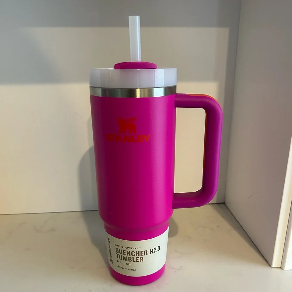 Stanley 24oz Heatwave Violet Water Bottle